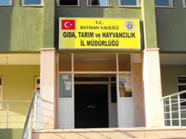 Alabalık Ölümlerı Açıklaması