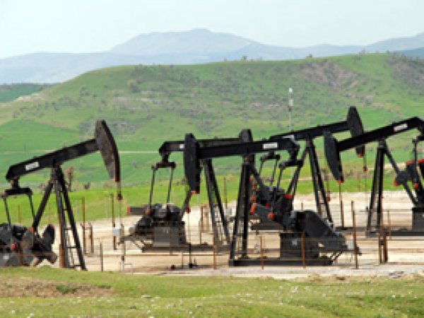 Bölgeden Kaliteli Petrol Fışkırıyor