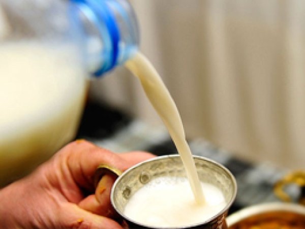 Süt Üretimi Yüzde 1,7 Azaldı