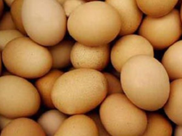 Yumurta Üretimi Yüzde 11 Arttı