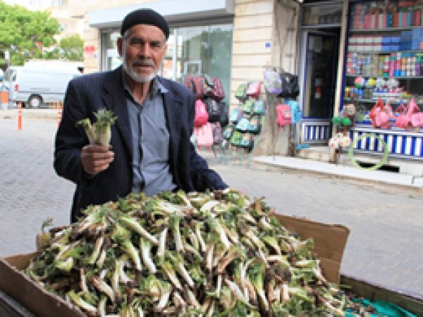 Dağdan Topladıkları Kengeri Satarak Geçiniyorlar