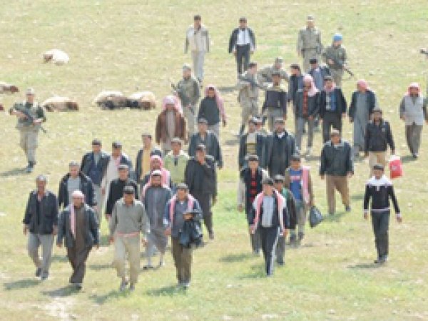 Şanlıurfa'da Büyük Operasyon: 87 Gözaltı