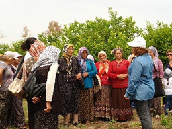 Mersin'de Çiftçi Eğitim Çalışmaları Sürüyor