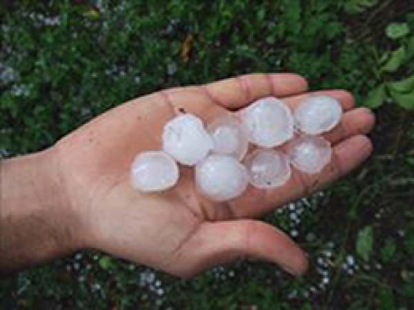 Elazığ'da Dolu Zarar Tespiti Başladı