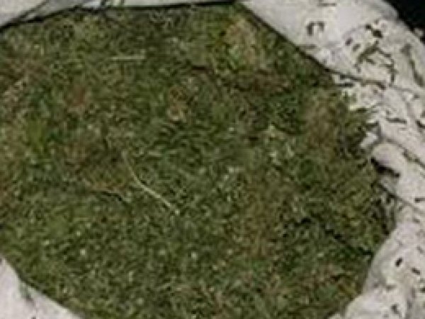 Siverek'te 130 Kilo Esrar Yakalandı