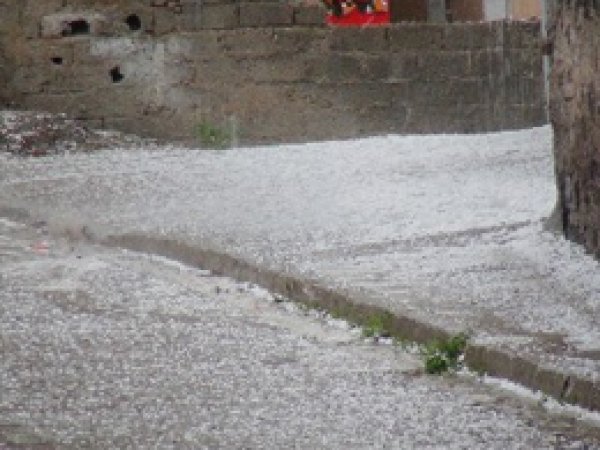 Solhan'da Dolu Yağışı Tarlalara Zarar Verdi