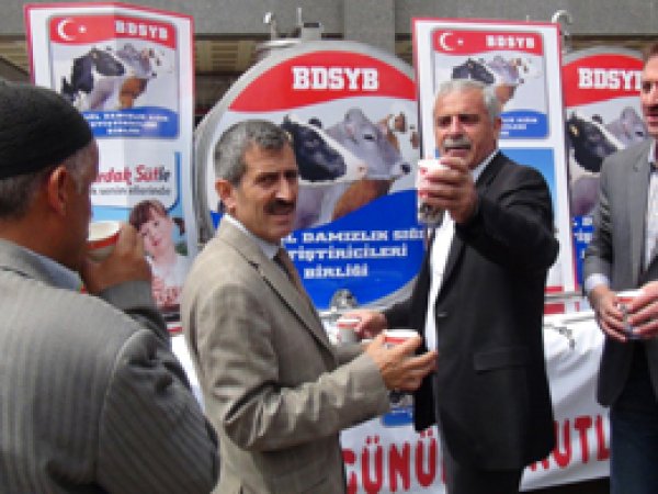 Bingöl'de Halka Süt Dağıtıldı