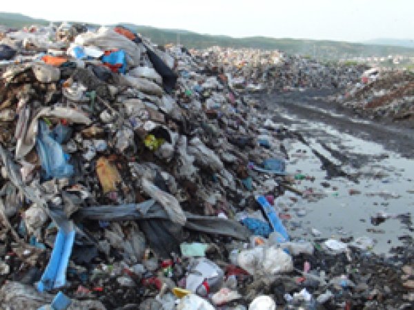 Bingöl Şehir Çöplüğü Tehlike Saçıyor