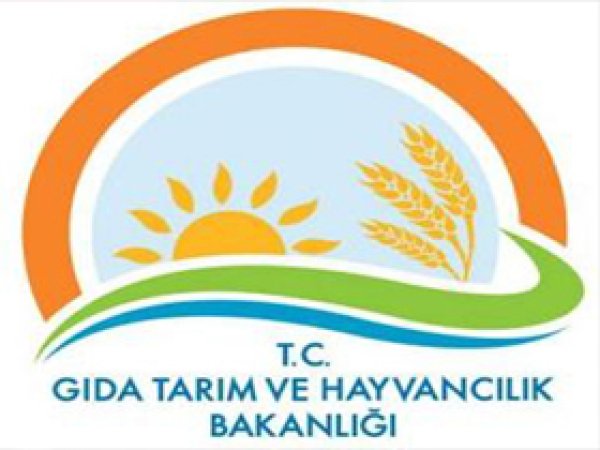 Otomatik Sağım Merkezi Verimi Artırdı