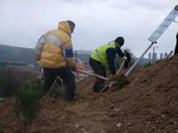 Bingöl'de 200 Geçici İşçi Alınacak