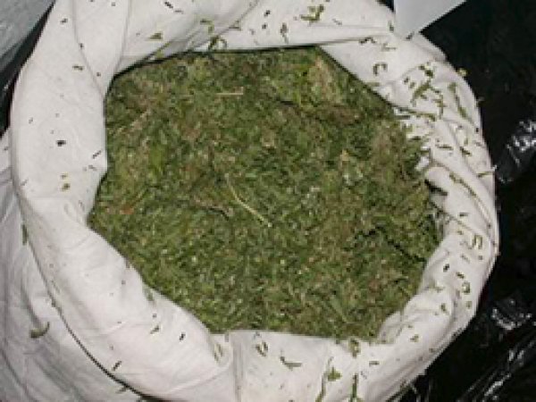 Bingöl'de 8 Kilo Esrar Ele Geçirildi