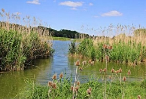 Uluslararası Öneme Sahip Sulak Alan Sayısı 135'e Yükseldi