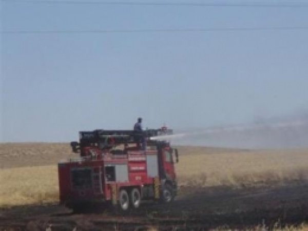 Çınar'da100 Dönümlük Tarla Yandı