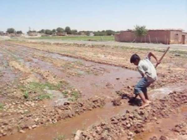 "Tarlaya Değil Camiye Gitmek İstiyorum"