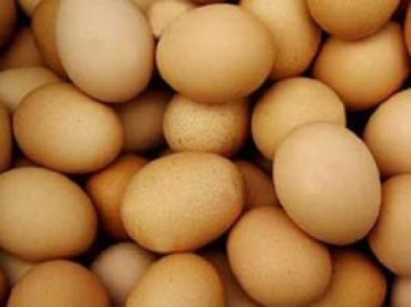 Mayısta Yumurta Üretimi Arttı