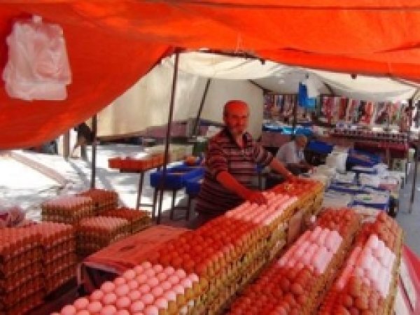 Yumurtanın Fiyatı ve Satışında Düşüş