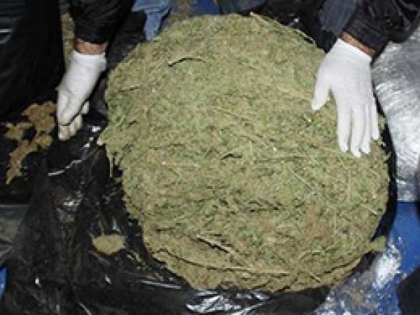 Tarsus'ta 83 Kilo Esrar Ele Geçirildi