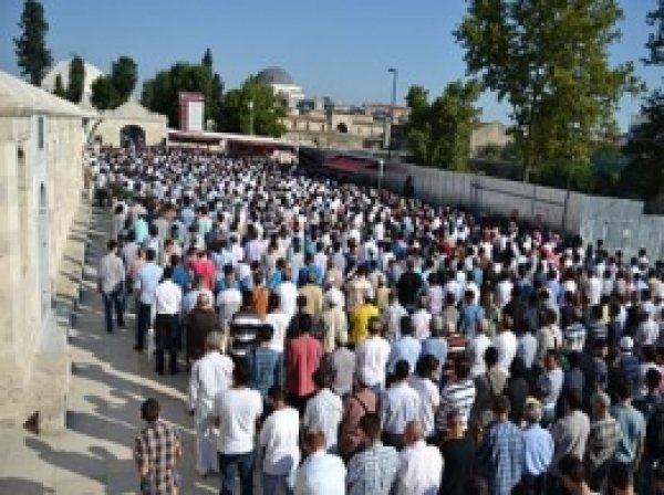 Mısır Intifadasıyla Dayanışmaya Çağrı