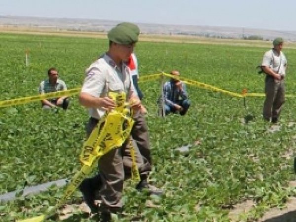 Tarsus'ta Kız Kaçırma Cinayeti