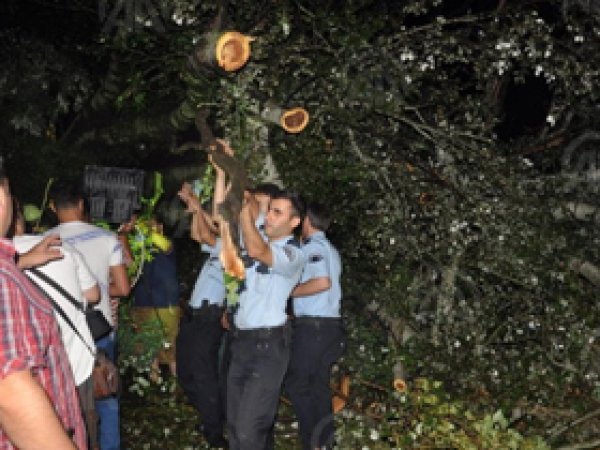 Kuvvetli Fırtına Ağaçları Devirdi: 1 Ölü