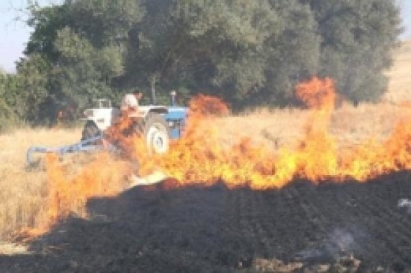 Karakoçan'da Anız Yangını