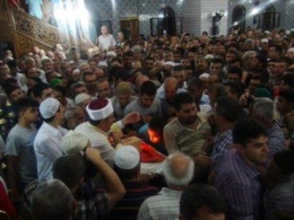 Osmaniye'de Sakalı Şerif 'e Yoğun İlgi