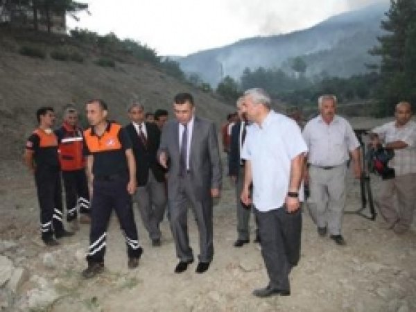 Hatay'daki Orman Yangını