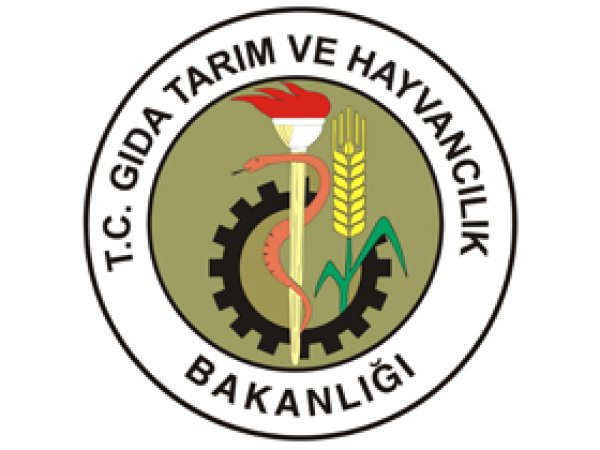 Mısır'ın Alım Fiyatı Belli Oldu