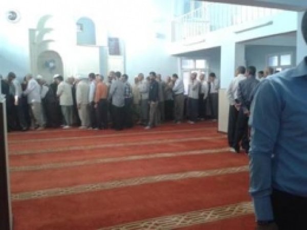 Çınar Bayramı Sevinçle Karşıladı 