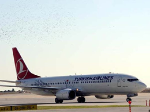 THY'nda  Çalışan 2 Pilot Beyrut'ta Kaçırıldı