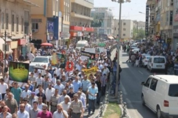 Şanlıurfa Ve İlçeleri Mısır İçin Ayakta