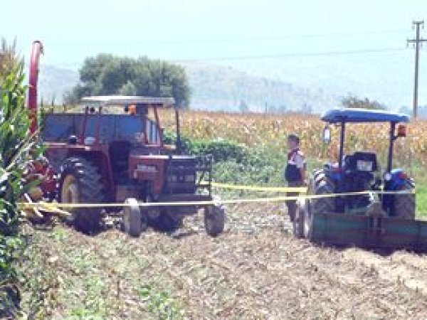Aydın'da Mısır Tarlasında Kaza: 1 Ölü