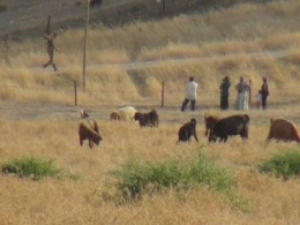 Mayınlı Arazide Tehlikeli Görüşme