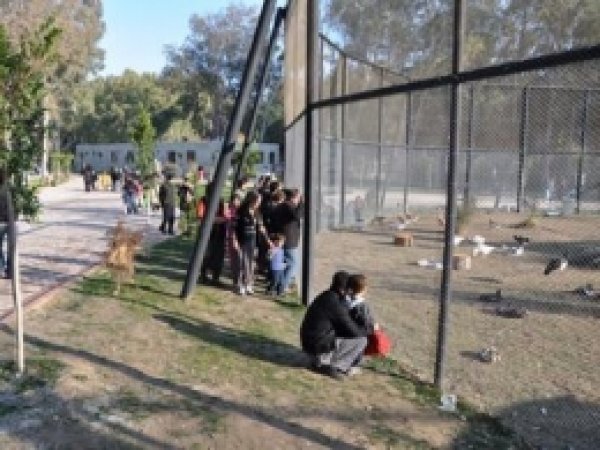 Bölgenin Tek Hayvanat Bahçesine Ziyaretçi Akını 