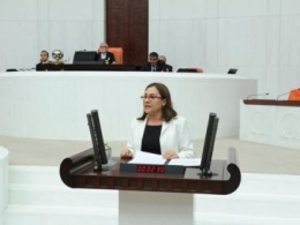 İznik Gölü Çevre Planı'ndaki Değişiklik Meclis'te