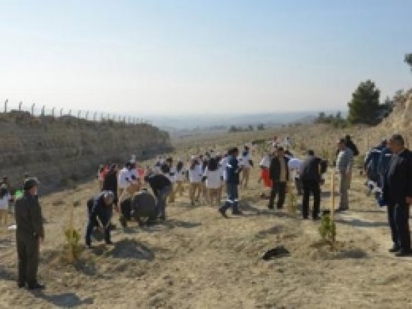 Adana'da 10 Yılda 124 Milyon Ağaç Dikildi 