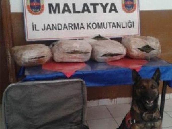 Malatya'da 13 Kilo Esrar Ele Geçirildi 