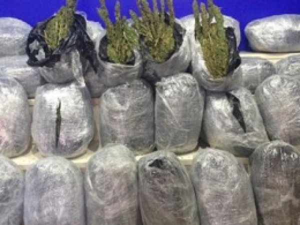 Adana'da 973 Kilo Uyuşturucu Ele Geçirildi 