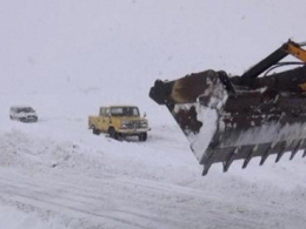 Karlıova'da Kar ve Sis Ulaşımı Olumsuz Etkiledi 