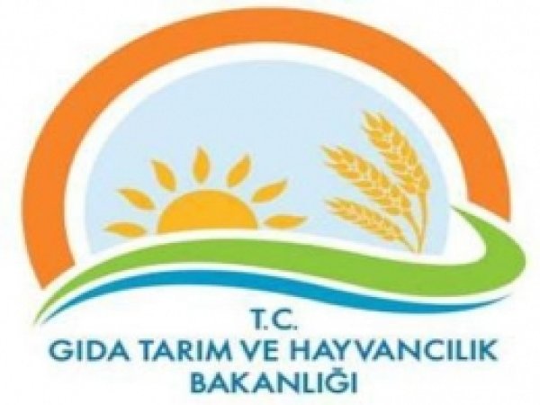 Tarımsal İhracatta Artış 