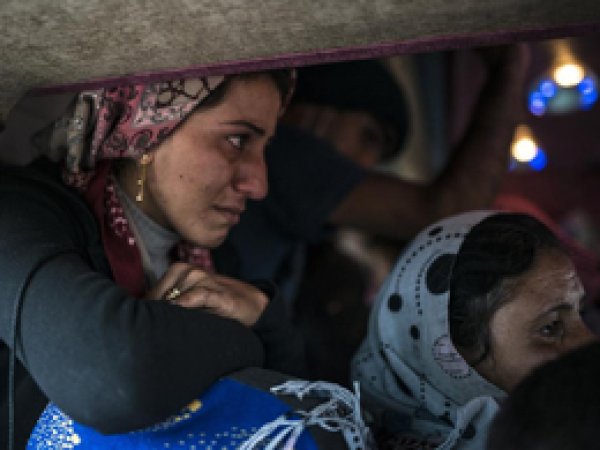 Suruç'tan Girdiler, Ceylanpınar'dan Çıkacaklar