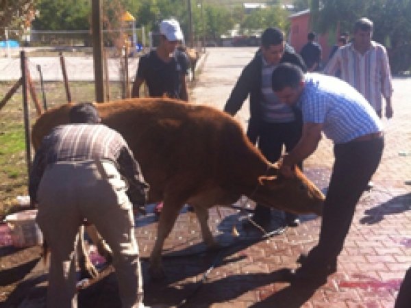 Bingöl'de Kurban Dayanışması