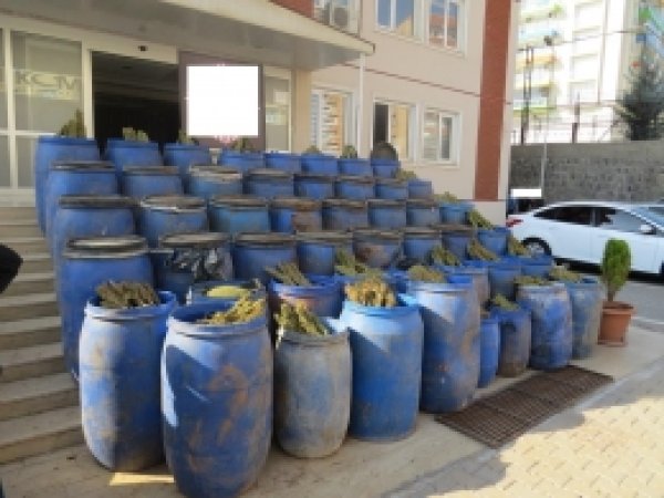 Diyarbakır'da Uyuşturucuya Büyük Darbe 