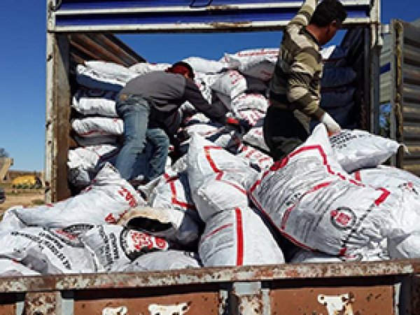 Urfa'da Bin 350 Aileye Kömür Dağıtıldı 