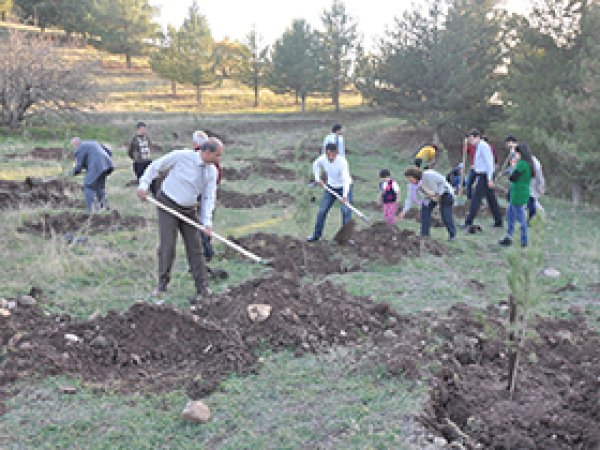 Diyarbakır'da 200 Fidan Dikildi