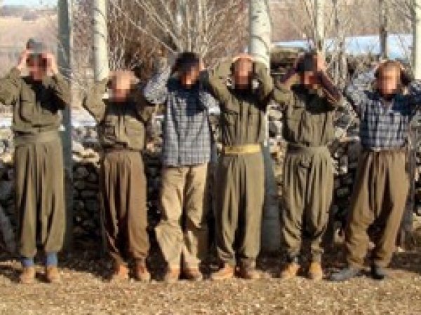 PKK'liler Gruplar Halinde Teslim Oluyor
