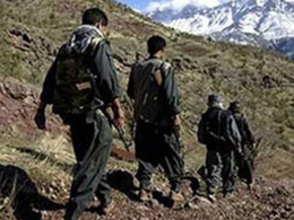 Şırnak'ta 9 PKK'li Teslim Oldu