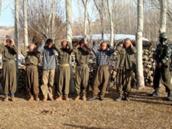 Şırnak'ta 5 PKK'li Teslim Oldu