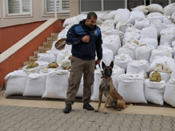 Yakalanan 5 ton esrar basına gösterildi