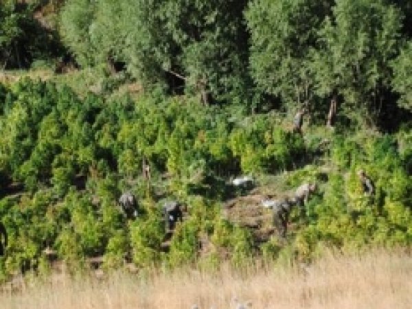 Diyarbakır'da Uyuşturucu Baskınları